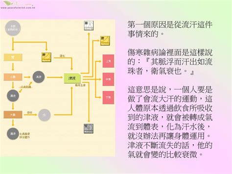 氣流意思